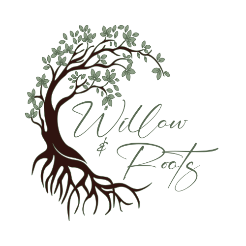Willow & Roots Studios - St. Augustine Photographers
